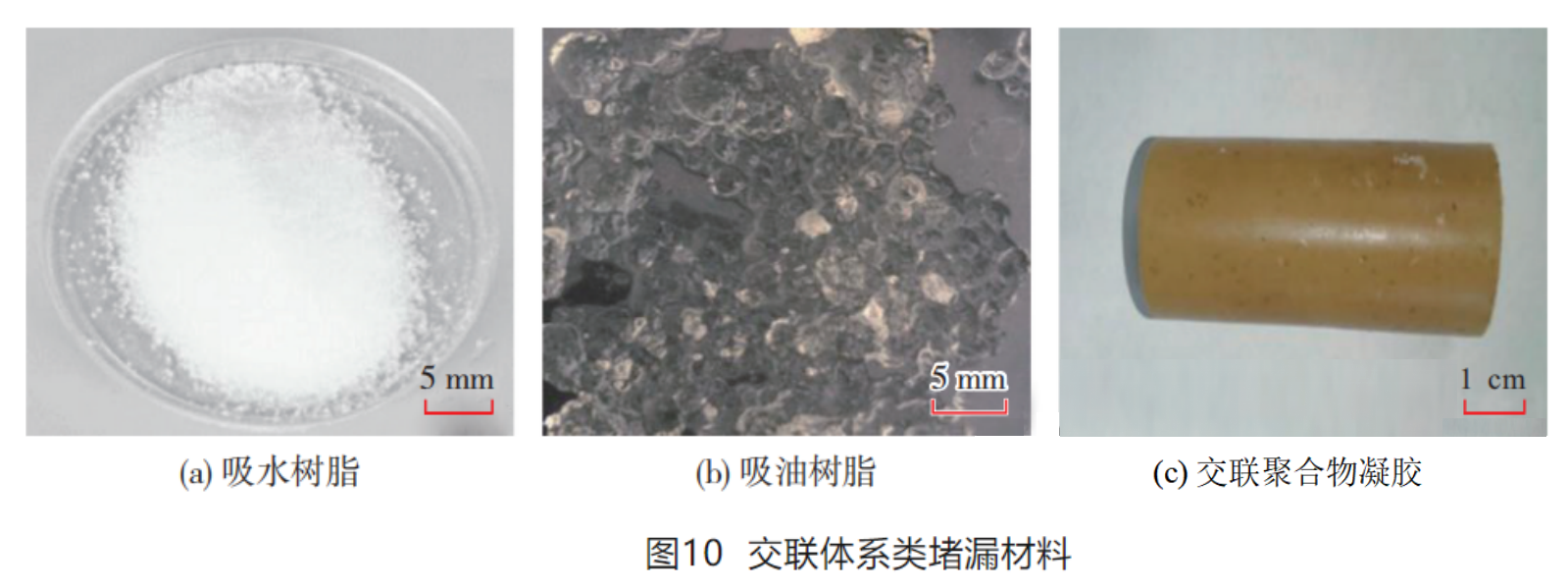 图 10.png